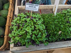  at Chantal Organics - Restaurant in Napier