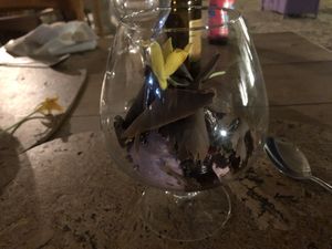 Blackberry mouse with dark chocolate. Vegan, and amazing at Cor de Tangerina in Guimaraes