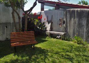 the garden at Cor de Tangerina in Guimaraes