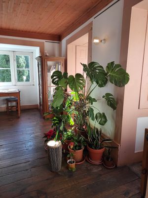 Decor at Cor de Tangerina in Guimaraes