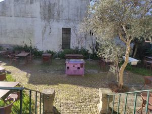 Garden at Cor de Tangerina in Guimaraes