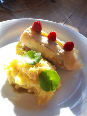 Filo de tofu e legumes com purê de batatas at Cor de Tangerina in Guimaraes