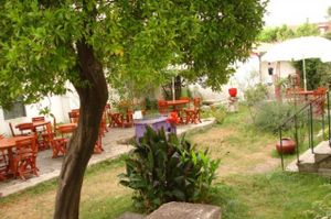 Garden at Cor de Tangerina in Guimaraes