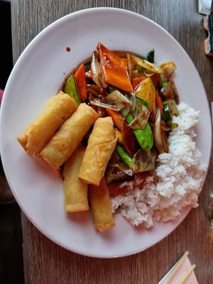 Wok vegetables with White Rice and vegan springrolls. at Jasmijn Garden in Assen
