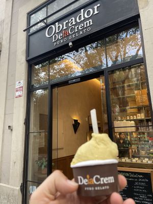 Vegan icecream  at DelaCrem in Barcelona