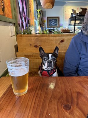   at Julia's Vegetarian Restaurant in Pacific Grove