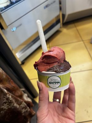   at Gelateria La Carraia in Florence