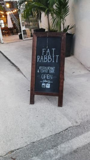 Entrance at Fat Rabbit in Playa Del Carmen