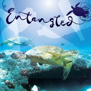 Event branding for an art exhibition called "Entangled" at the Animal Museum in Los Angeles, where all the pieces were designed from ocean debris. at Bonfilio Design in Charlotte