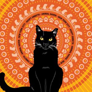 Graphic Art to raise awareness for cat adoption. at Bonfilio Design in Charlotte