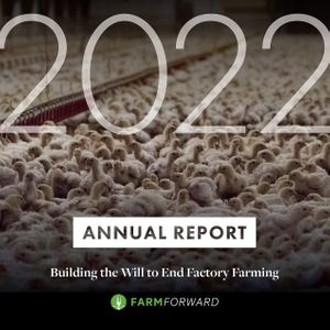Annual Report design for Farm Forward at Bonfilio Design in Charlotte