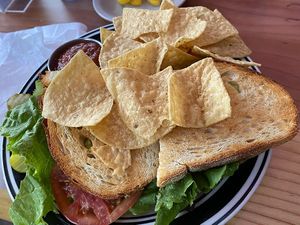 Wanna-BLTA sandwich  at Bouldin Creek Cafe in Austin