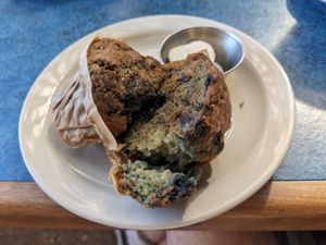 Blueberry lemon pecan muffin (vegan) grilled w/ butter at Bouldin Creek Cafe in Austin