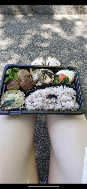 Himawari bento at Gohanya Futaba in Saitama