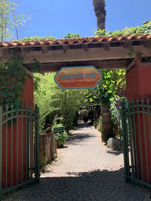 Serenity  at Casa de Luz in Austin