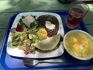 So amazing and beautiful presentation at Casa de Luz in Austin