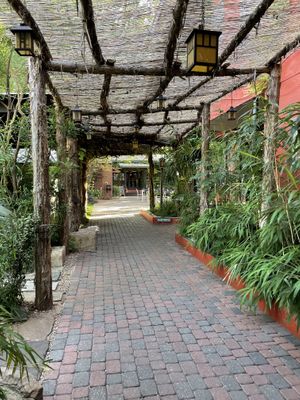   at Casa de Luz in Austin