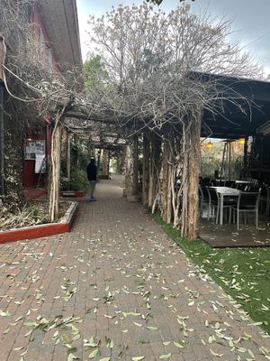 Entrance (from the inside)  at Casa de Luz in Austin