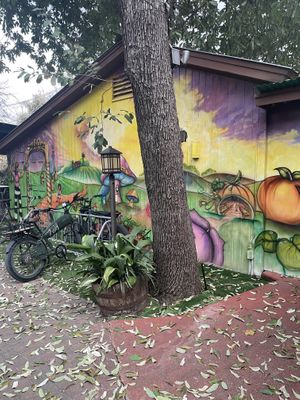Cafe (outside)  at Casa de Luz in Austin