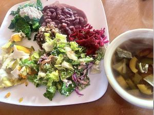 The meal of the day - delicious!  at Casa de Luz in Austin