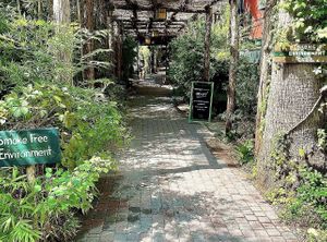 Super cool walkway   at Casa de Luz in Austin