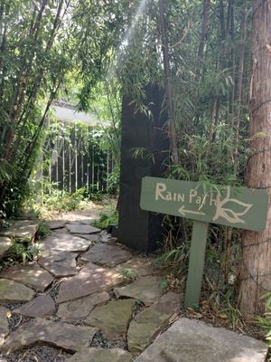 Rain Path at Casa de Luz in Austin