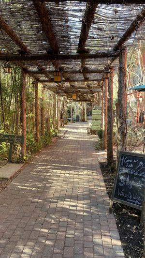   at Casa de Luz in Austin