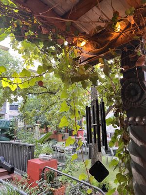   at Casa de Luz in Austin