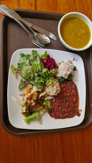  at Casa de Luz in Austin