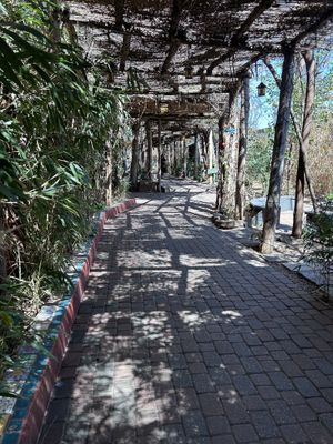   at Casa de Luz in Austin