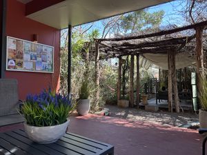   at Casa de Luz in Austin