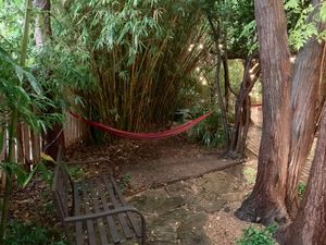 For naps  at Casa de Luz in Austin