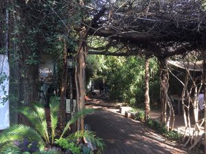 Casa de Luz is a beautiful, peaceful oasis. at Casa de Luz in Austin