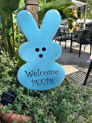 Welcome bunny   at Eola General in Orlando