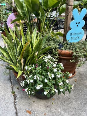 Flowers  at Eola General in Orlando