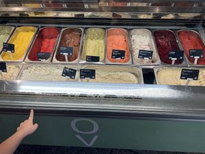 All vegan  at Gelato Vegano in Basel