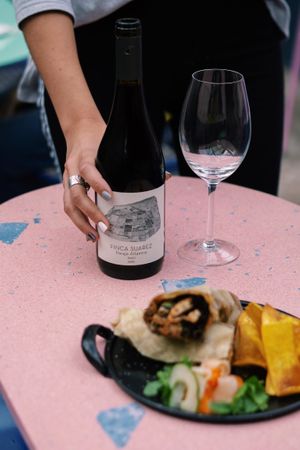 Wrap de tofu y Tinto at Anfibio Vineria in Buenos Aires