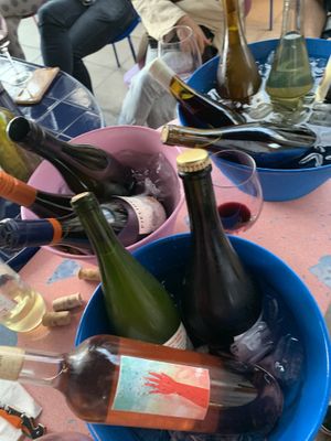 Degustación  at Anfibio Vineria in Buenos Aires