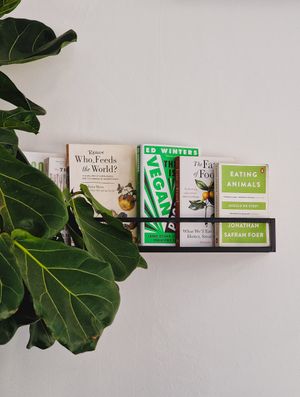  at Venn Canteen in Porto