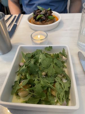   at Venn Canteen in Porto