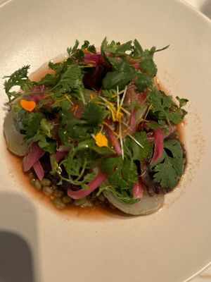   at Venn Canteen in Porto