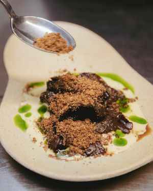 fried oyster mushrooms · acorn flour · brewer's yeast and garlic sauce · parlsey infused oil · wild garden salad at Venn Canteen in Porto