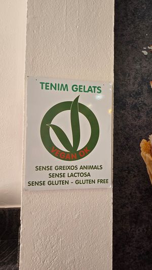 Vegan Ok - sign on wall at La Xixonenca in L Estartit