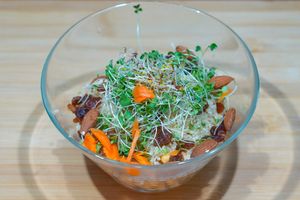 Quinoa sweet and chilli at Vege House in Belgrade