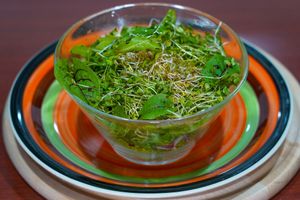 Salad of sprouts at Vege House in Belgrade