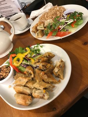 Spring rolls and dumplings with fried rice.  at Pumpernickel Coffee Shop in Dumfries