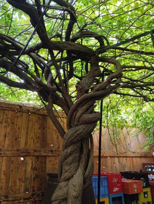 Interiors 🌱 at Le Cachotier in Carcassonne