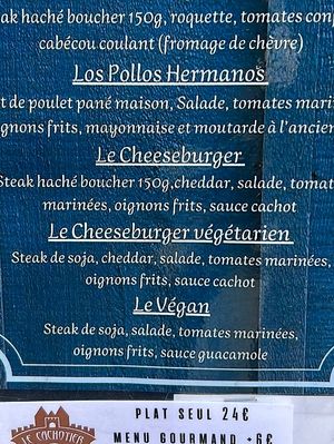 Vegan burger    at Le Cachotier in Carcassonne