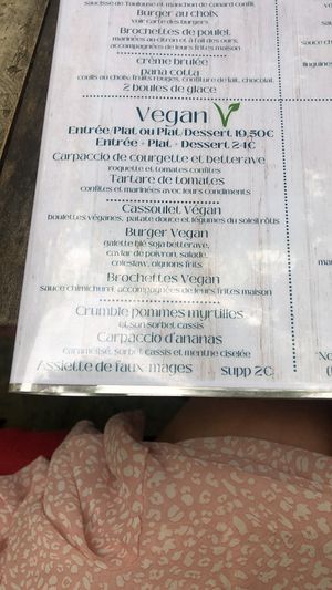 Menu vegan  at Le Cachotier in Carcassonne