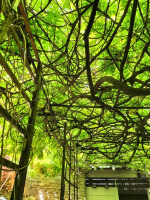  at Le Cachotier in Carcassonne